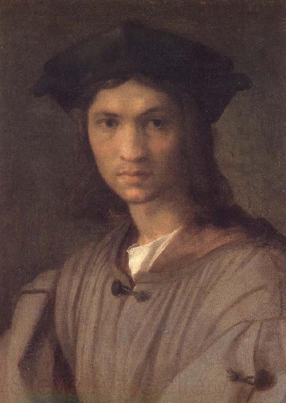Andrea del Sarto Man portrait Spain oil painting art